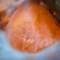 Kliknte pro zobrazen tto fotografie