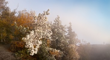 Kliknte pro zobrazen tto fotografie