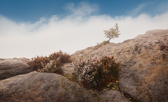 Kliknte pro zobrazen tto fotografie
