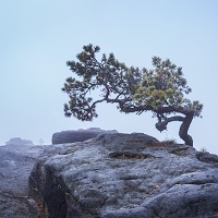 Kliknte pro zobrazen tto fotografie