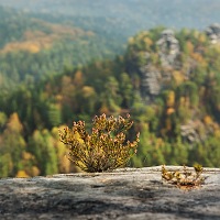 Kliknte pro zobrazen tto fotografie