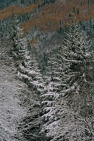 Kliknte pro zobrazen tto fotografie
