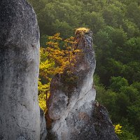 Kliknte pro zobrazen tto fotografie
