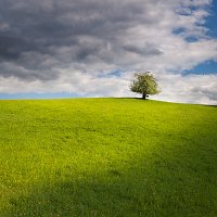 Kliknte pro zobrazen tto fotografie