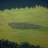 Kliknte pro zobrazen tto fotografie