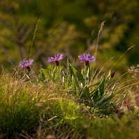 Kliknte pro zobrazen tto fotografie